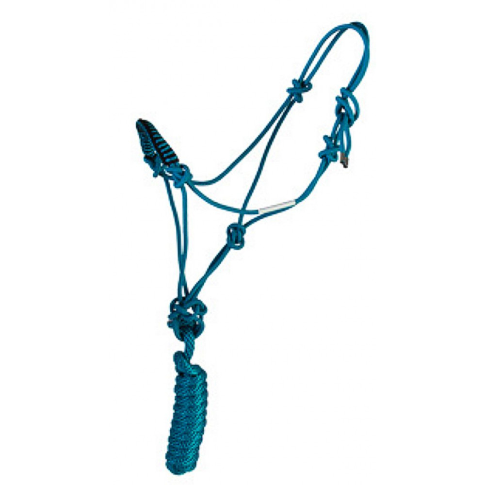 San Saba Equine Lariat Nose Harness Leather Halter with Sand Floral Overlay and Buckstitch